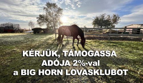 2%
