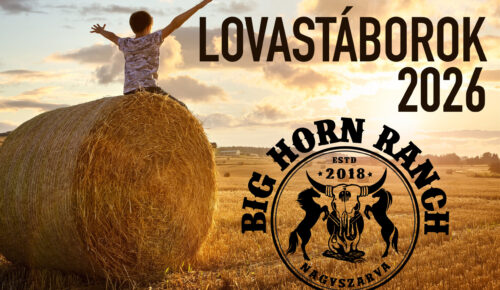 Boy sitting on a hay bale with arms raised in summer watching the sunset concept for worship, praise, religion or carefree childhood